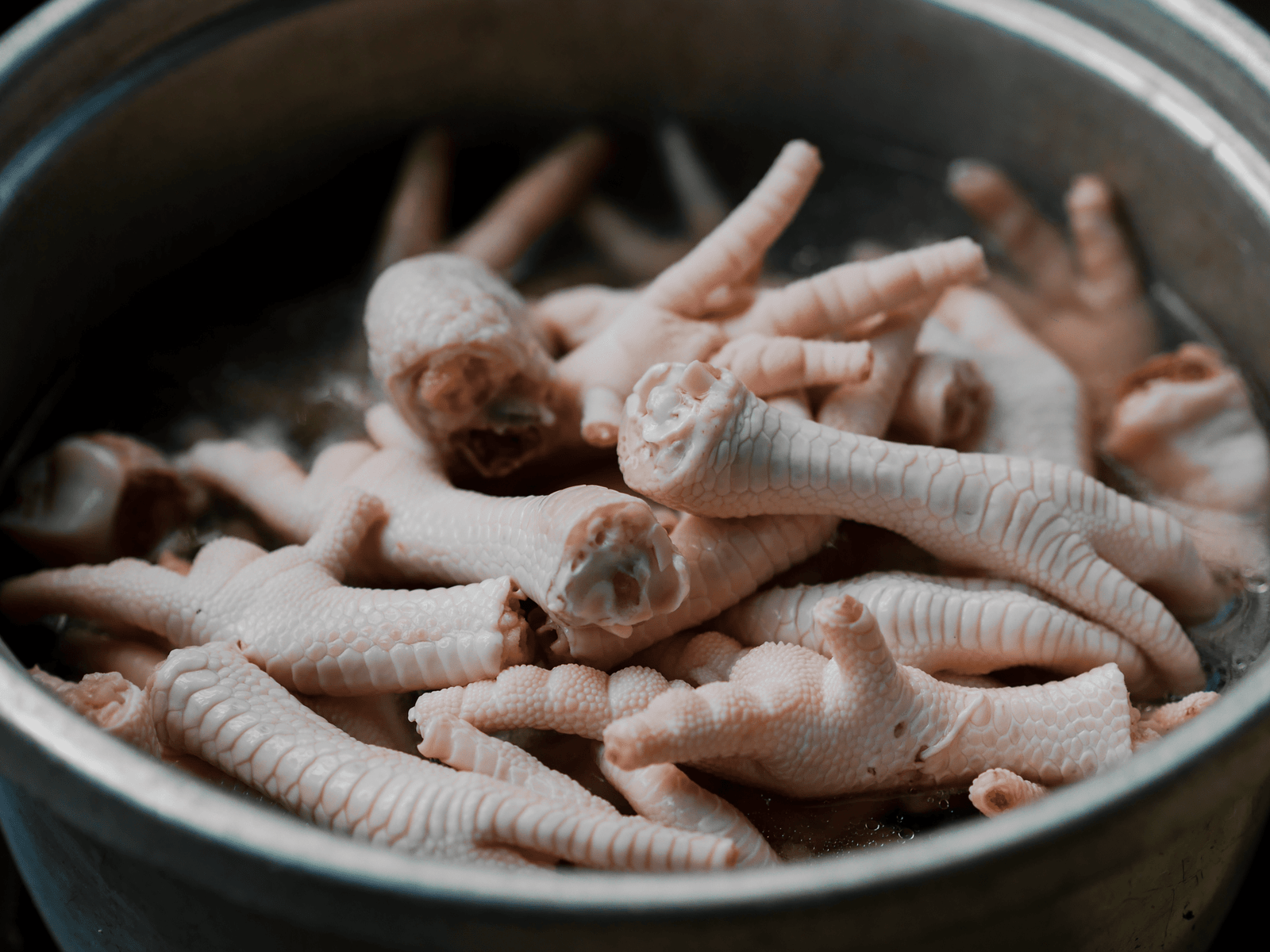 Ceker Ayam